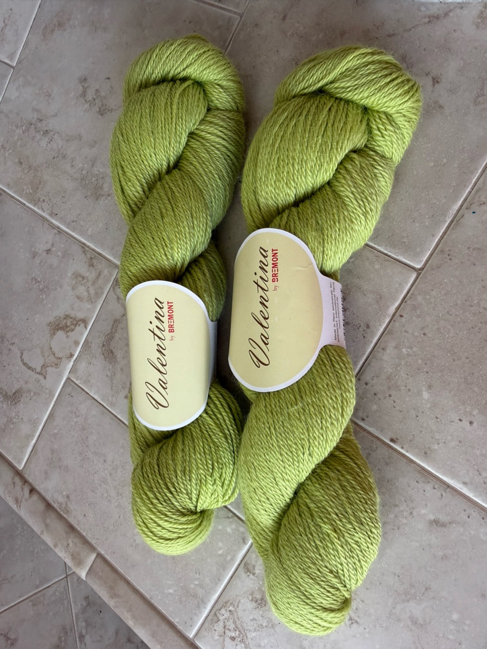 Valentina by Bremont Collection - Light Green Alpaca/Wool Blend Yarn- 2 Hanks